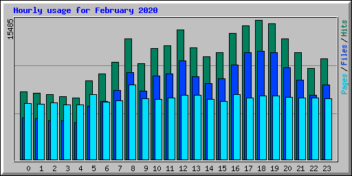 Hourly usage for February 2020