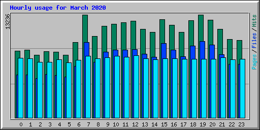 Hourly usage for March 2020