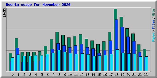 Hourly usage for November 2020