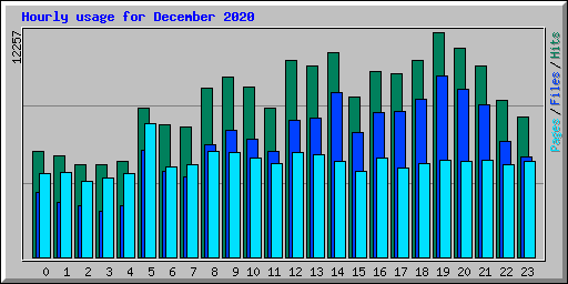 Hourly usage for December 2020
