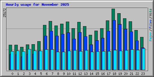 Hourly usage for November 2025