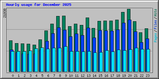 Hourly usage for December 2025