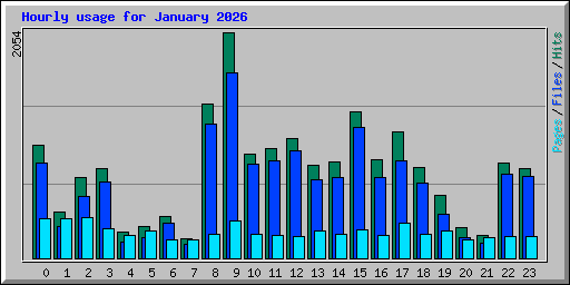 Hourly usage for January 2026