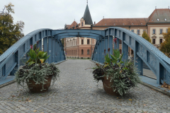 P1006687