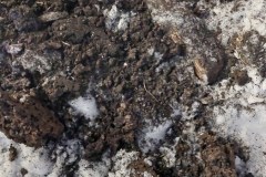 Brand220123__13