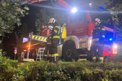 bd0e62f5-1c99-457f-b71e-cbee11899e11