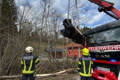 f33e3eee-9398-48a6-8b00-336b9ac136b9