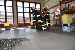 Finnen__16