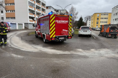 Oeleinsatz011225-3