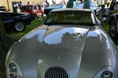 Oldt-31