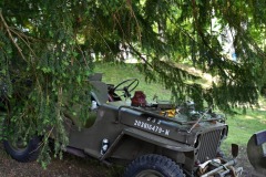 Oldt-67