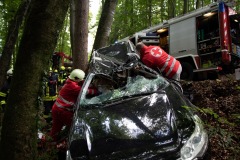 20210911_113539000_iOS