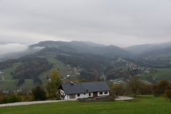 NIK_7204_1