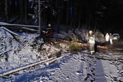 Sturm2212Tag__6