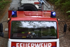 NIK_1559_13