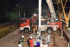 NIK_6703_14