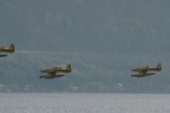 DSC_7487