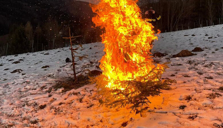 Der Chrisbaum brennt